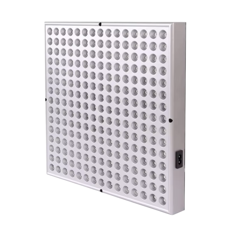 Lumionris