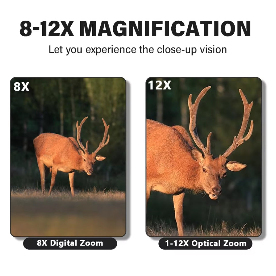 capturox-img- (17).jpg__PID:c9d4dcf5-1683-42fd-b764-2411122bb25a