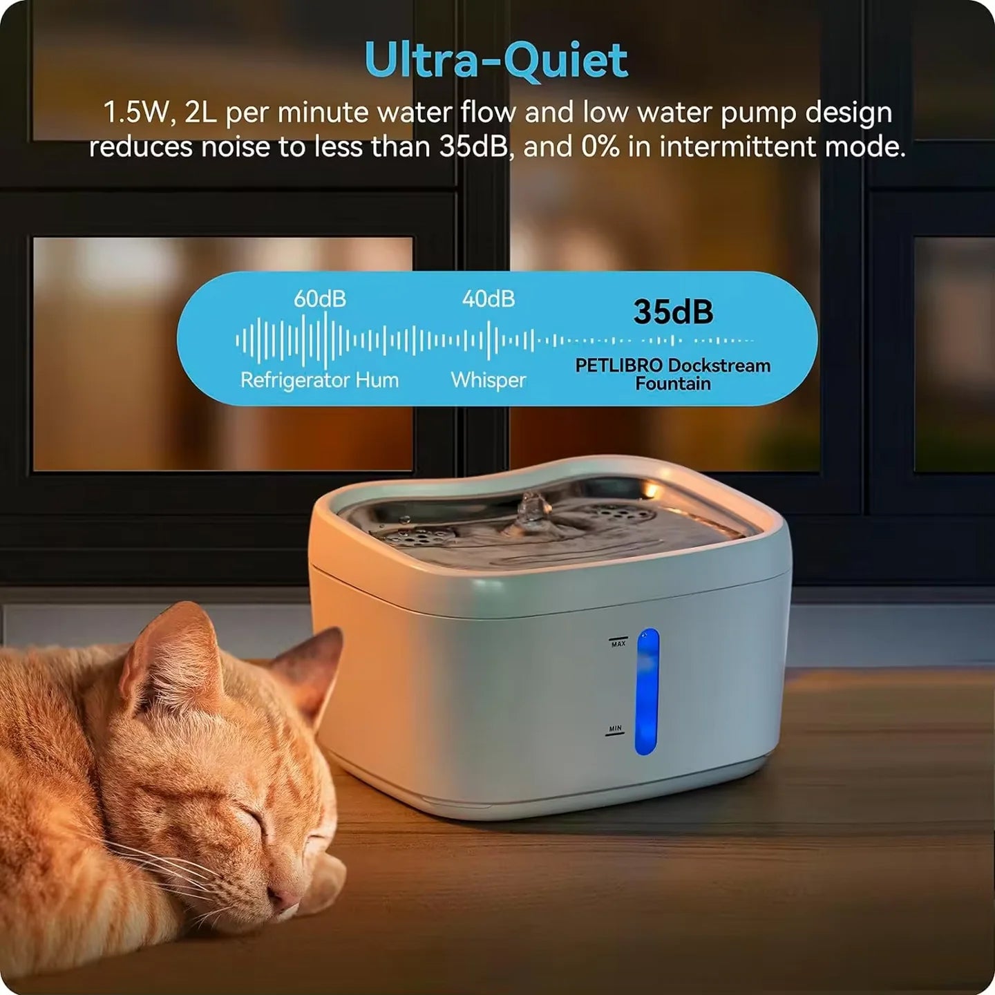 cupa-meow-img-03.jpg__PID:d8483983-efe5-4d63-8ae5-ce44dcaaf256
