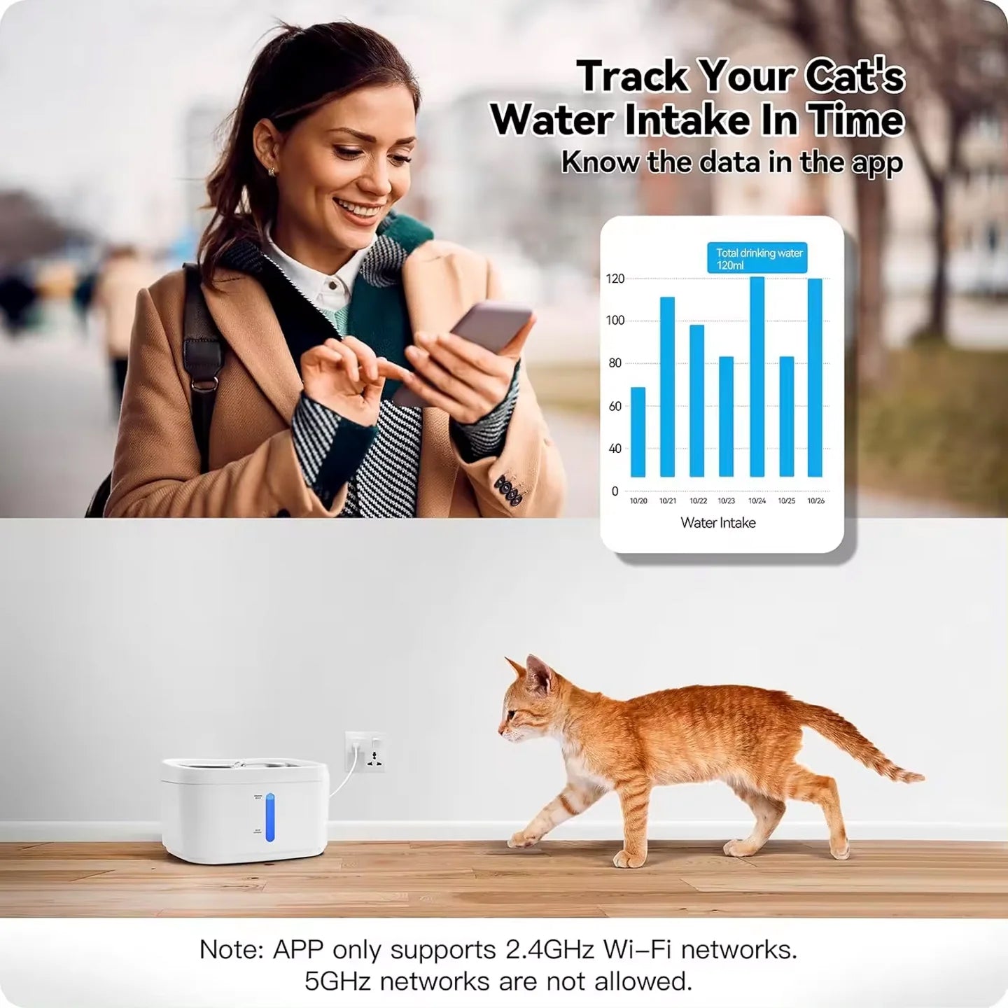 cupa-meow-img-08.jpg__PID:e56d63ca-e5ce-44dc-aaf2-56f0ae1d8dd4