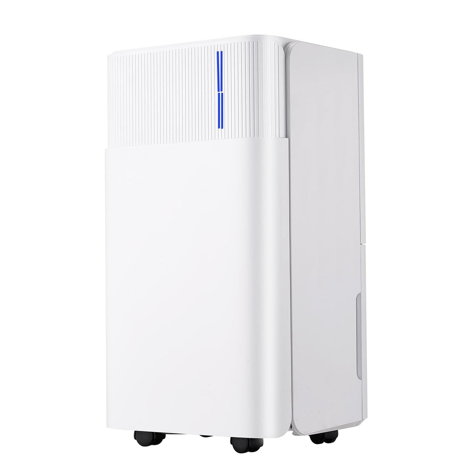 Drymorax