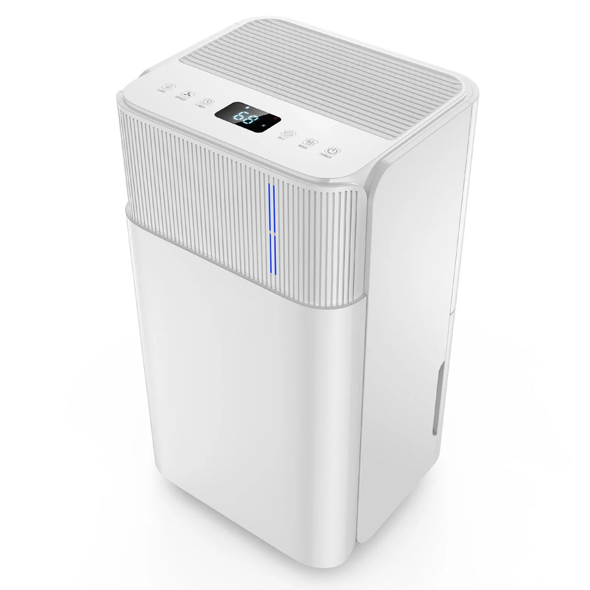 Drymorax