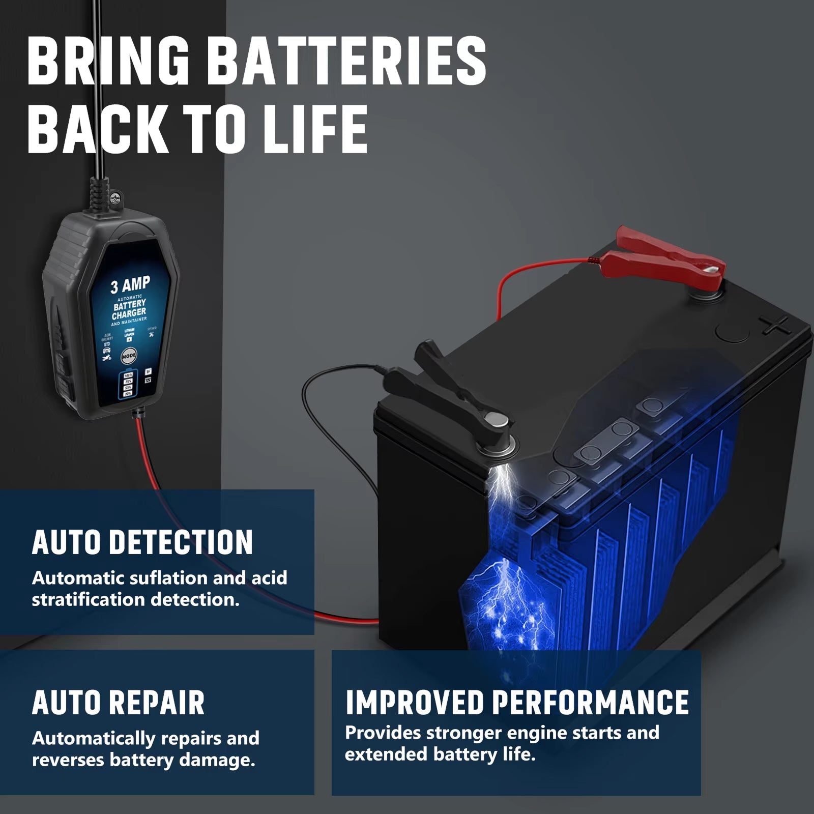 Voltebax 6V/12V Battery Tender with Repair Mode