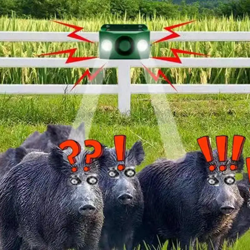HufetZone