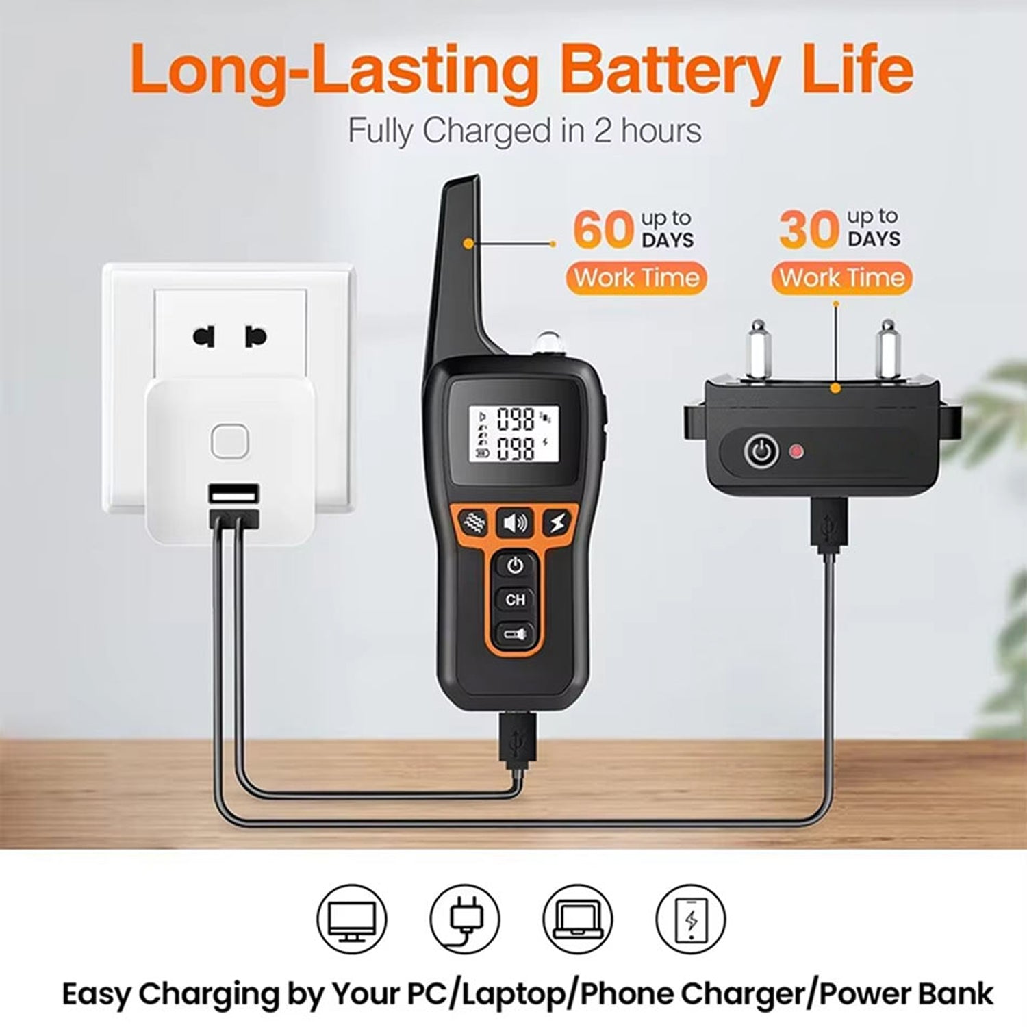 pawtopie-img-08.jpg__PID:d47dea3d-bc73-4563-a280-7180c0000526