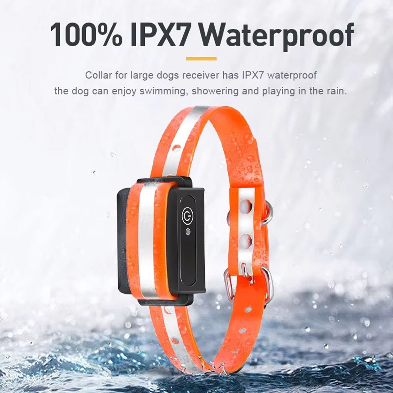 pawtopie-img-09.jpg__PID:7dea3dbc-7335-4362-8071-80c00005268b