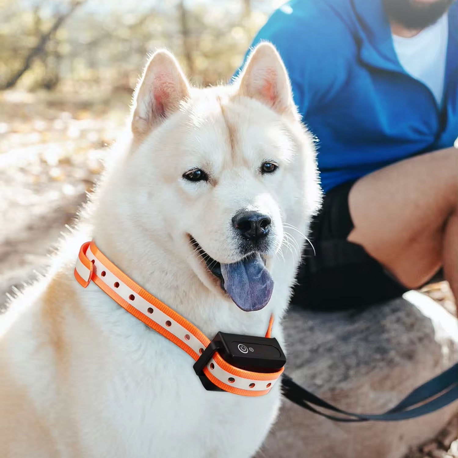 pawtopie-img-21.jpg__PID:0005268b-0952-44e4-839b-763af6bb063b