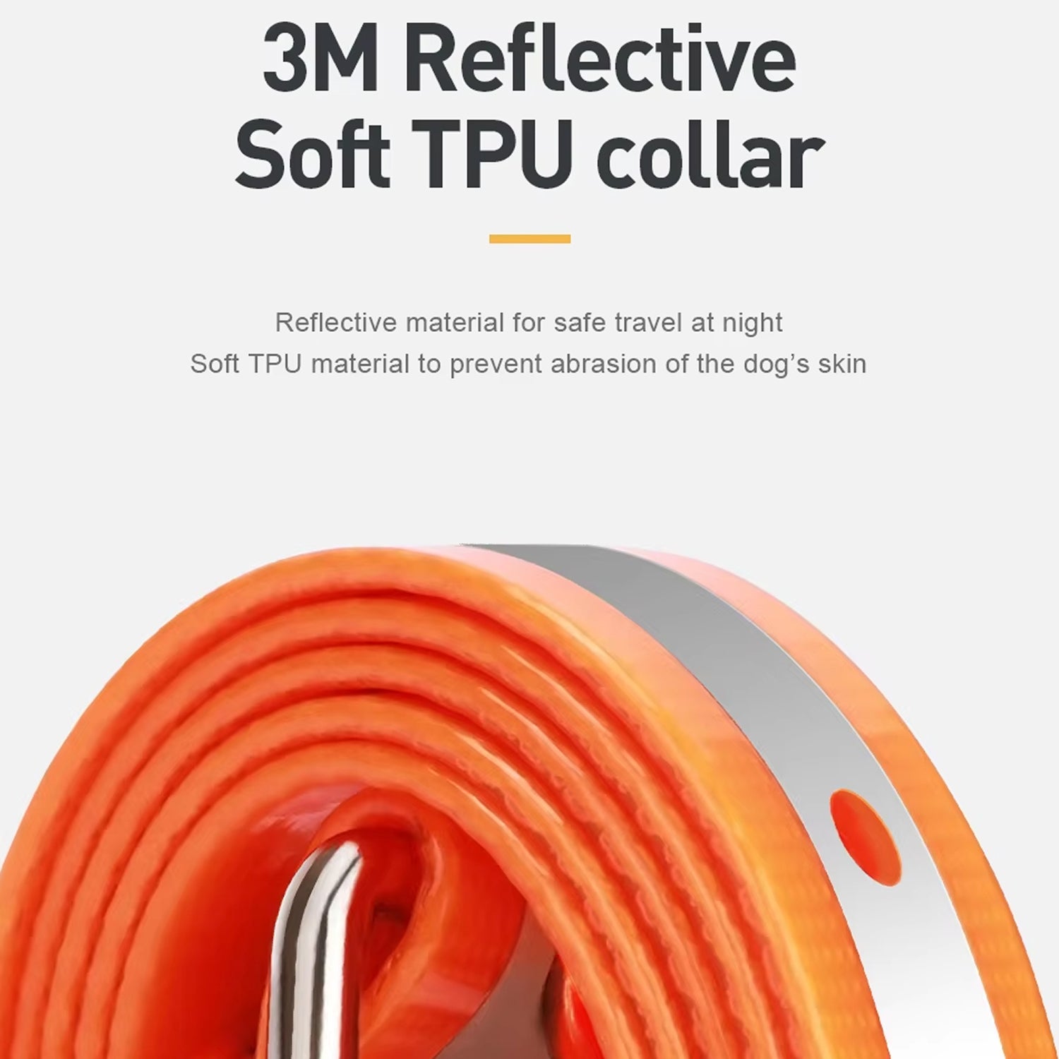 pawtopie-img-23.jpg__PID:268b0952-d4e4-439b-b63a-f6bb063be98a