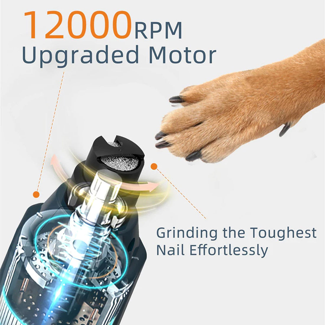 pawy-zie-img-03.jpg__PID:c9fba308-6963-479e-988f-a05b0ffc5902