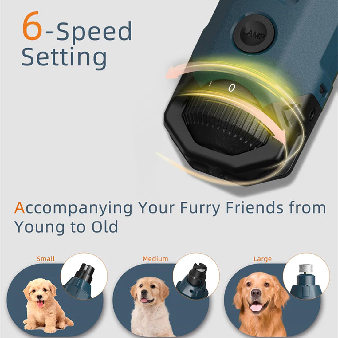 pawy-zie-img-05.jpg__PID:a3086963-879e-488f-a05b-0ffc5902ae02