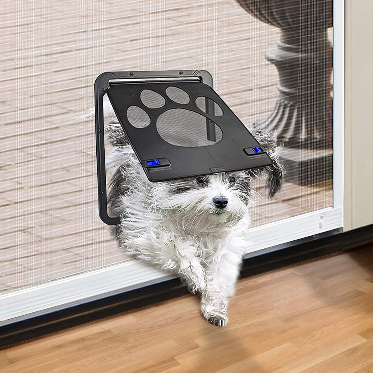 PupiPassi