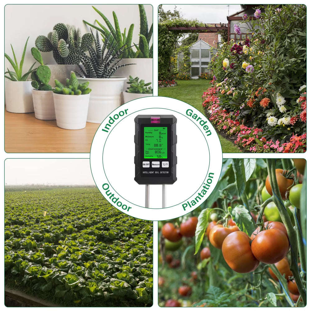 rootabest-img-18.jpg__PID:dc9a5aed-24fe-4ac5-953e-645e45cce3e2